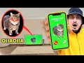 OIIAOIIA CAT is alling NIKPIG Episode 2 Spinning Cat Meme in real life