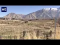 Mapleton homeowners push back against proposed road threatening farms homes