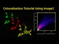 Colocalisation tutorial using ImageJ