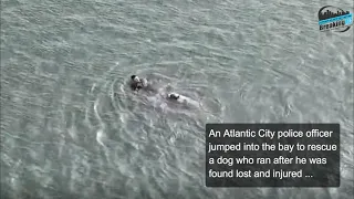 Police officer comes to rescue when dog jumps in cold water