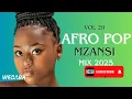 AfroPop Mzansi Mix 2025 Vol 29 | Dj Webaba
