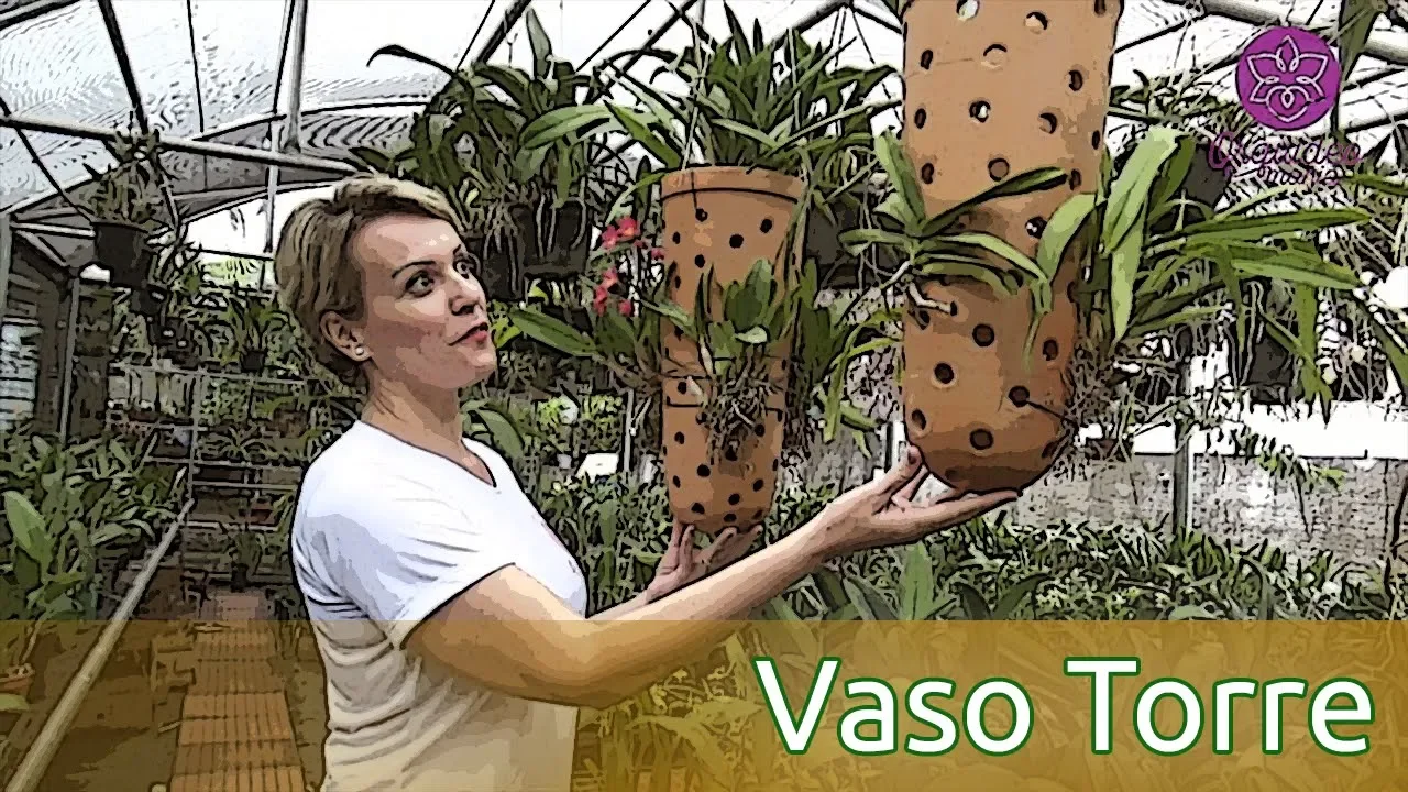 IDEIA SUPER CRIATIVA PARA CULTIVAR ORQUÍDEAS