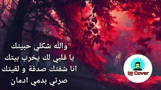 كلمات أغنية شكلي حبيتك  كلمات         دندنها
