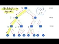 Alpha Beta search algorithm