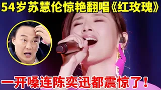 开嗓惊艳了 苏慧伦翻唱陈奕迅 红玫瑰 听完再也不喜欢白玫瑰了 最美歌声 精编版 苏慧伦 Tarcy Su 苏醒 任贤齐 吴莫愁 