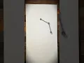 Double Pendulum