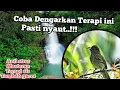 Download Lagu masteran paling ampuh.!!! Anti stres terapi air siri siri