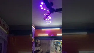                     دندنها