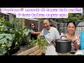 Download Lagu PERDANA‼️ MASAK DI DAPUR KAK ANDINI \u0026 TOUR KEBUN SAYURNYA