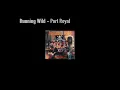 Running Wild - Port Royal - Guitar Cover