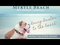 Pet Friendly Vacation Rentals Myrtle Beach
