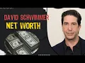 Unlocking David Schwimmer s Impressive Net Worth Secrets Path to Wealth Channel