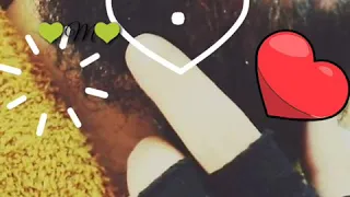 مش هنساها الليلة دي أنا بدون موسيقي مع الكلمات 