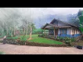 Download Lagu Penampakan Kampung Terbersih Jawa Barat, Cianjur. Serpihan Surga Ada Disini, Setiap Pagi Dibersihin