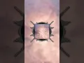 Restoration Field (Edit) | Healing Frequencies with meditation binaural beats | J.S. Epperson