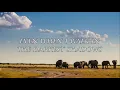 Dariann González- You