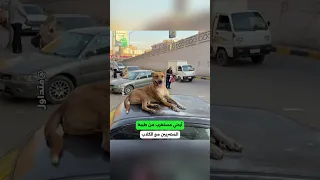                                                                                                     دندنها