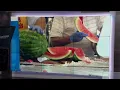 Carytown Watermelon Festival is Sunday