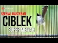 Download Lagu MASTERAN CIBLEK GACOR NEMBAK NEMBAK