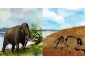 Fossils Rocking the Earth
