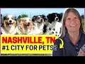 Most Pet Friendly City in the United States is in Tennessee but which city