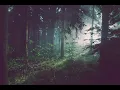 Download Lagu MUSIK RELAKSASI OTAK - KICAU BURUNG PAGI HARI DI TENGAH HUTAN