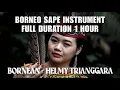 Download Lagu Borneo Sape Instrument Full 1 Jam Bornean - Helmy Trianggara