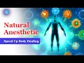 Download Lagu 174 Hz 285 Hz 432 Hz 528 Hz ➤ Natural Anesthetic ➤ Speed Up Body Healing