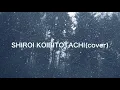 Download Lagu 桑田佳祐 白い恋人達short Ver Mp3 Video Mp4