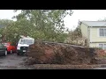 Storm takes down trees and powerlines across Connecticut