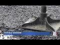 Drivers trying to get through pothole war zone in Lee s Summit
