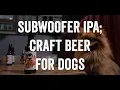Download Lagu BrewDog - Subwoofer: Craft beer for dogs