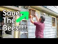 Download Lagu Mason Bees - Expanding Housing
