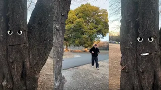 كان جاء كل شيء يتكلم 😅 أحضن شجرة 🌳 😂