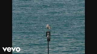 Alfa - Genova e Napoli
