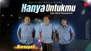 Download BORASPATI - Hanya Untukmu ( Official Music Video ) MP3