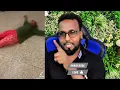 Download Lagu MUQAAL QUUS AH NAAG SHAQALO JUDAAN LEEY AH OO DHIIGA KADHUQDAY CUNUG YAR OO SOMALIYA \u0026 EEDO ARXANLAY Download Lagu MUQAAL QUUS AH NAAG SHAQALO JUDAAN LEEY AH OO DHIIGA KADHUQDAY CUNUG YAR OO SOMALIYA \u0026 EEDO ARXANLAY