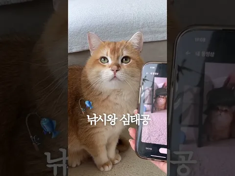 낚시왕 심태공🎣
