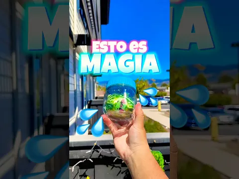 Magia unboxing #bloxfruits #unboxing #roblox #robloxshorts #shorts #trigongm #shorts