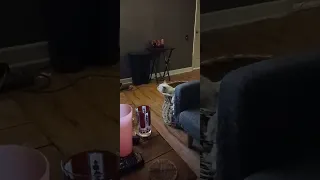 My Backup Mechanic Is Learning Mechanic Cat Car Fabrication Relaxing Catbasket Funny Cats 