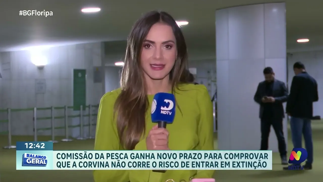Comissão da Pesca investiga estado da corvina após alerta de extinção