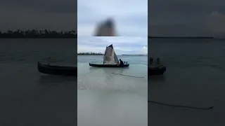 Island Life: Unexpected Gifts & Sailing Adventures in Paradise!