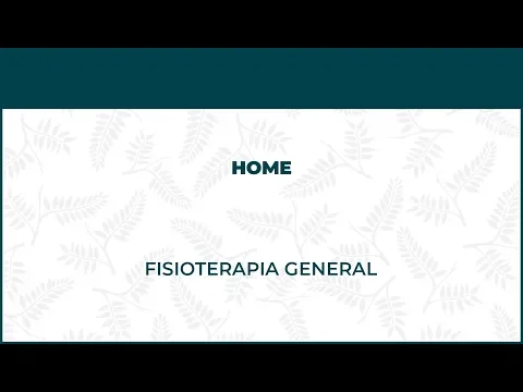 Fisioterapia General. Fisioterapia A Domicilio - FisioClinics Bilbao, Bilbo