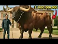 Los TOROS GIGANTES y mas CAROS del mundo