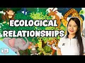 Ecological Relationships Predation Commensalism Mutualism Parasitism Competition Biology