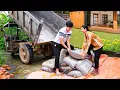 Download Lagu Single Mother Tu Tien Is Happy When CEO Jack Helps – Journey to Build a New Life | Ly Tu Tien