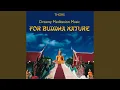 Download Lagu The Mystic of Buddha Nature