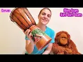 Download Lagu Bim bam biri biri bam - lullaby with drum | Nursery rhymes \u0026 kids songs with percussion