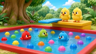 Five Little Chicks Go Swimming | Learn Colors with Cute Chicks | Preschool Nursery Rhyme