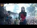 Download Lagu GULA GULA (Lagu Elvy Sukaesih) SEPTIAN AYU Mahesa Music - Festival  Lembutan Purborejo, Bansari Ke 6